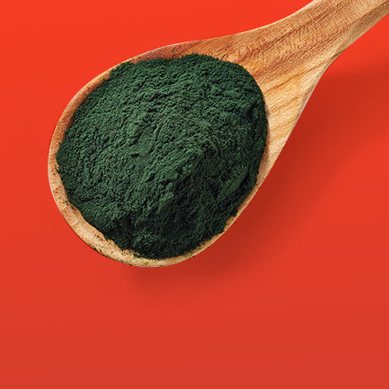 Spoon full of Organic Chlorella ready to eat